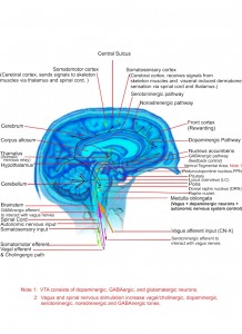 Brain-stimulation1-30