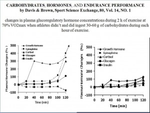 exercises-induced endocrine function