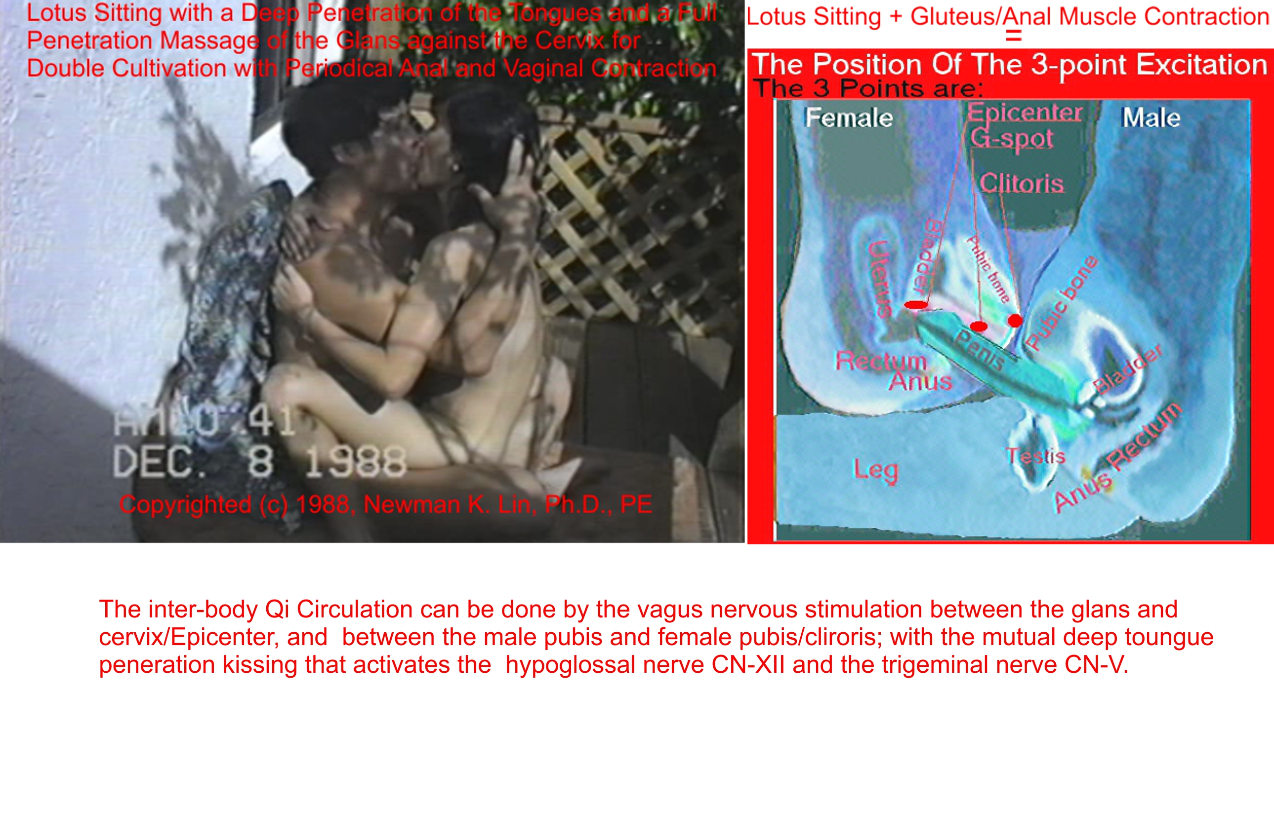 Lotus Siiting-3Point Excitation