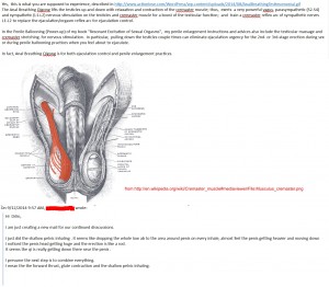 Reader's Experiences on Qigong induced erection
