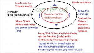 EllipticMotioncopyrighted