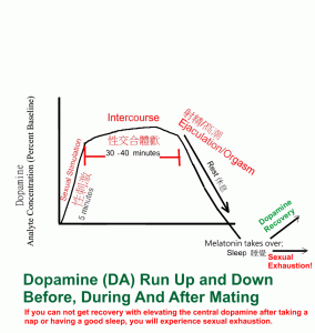 Dopamine-Mating-Exhaustion